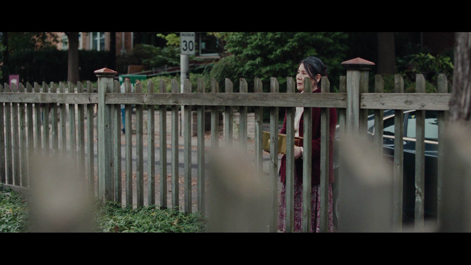 Year of the Dragon still 04
